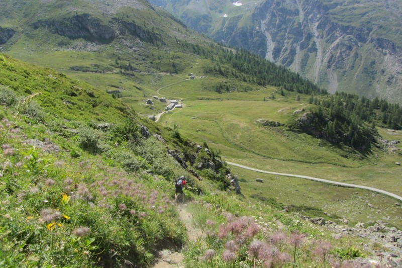 #4 Section technique : Avant de rejoindre Alpe Monte Forciaz Section technique : Avant de rejoindre Alpe Monte Forciaz