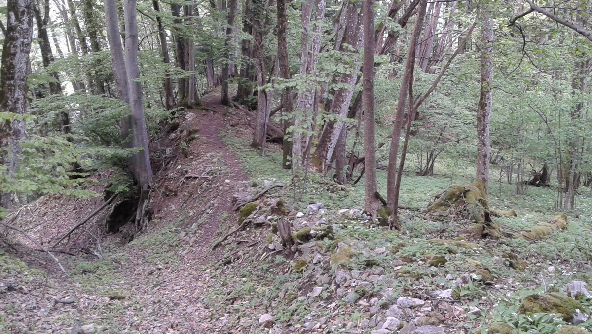 Après le pont du 
ruisseau de Font Belin, le sentier part à droite, au tout début de la piste descendante, sur la crête.