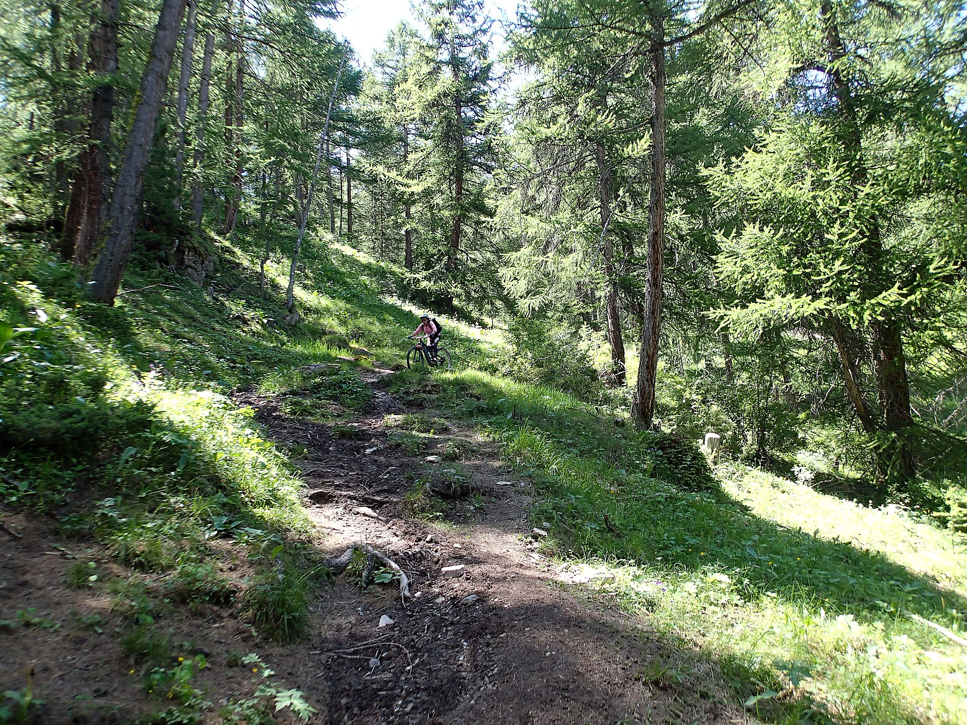 Entre sentier et piste.