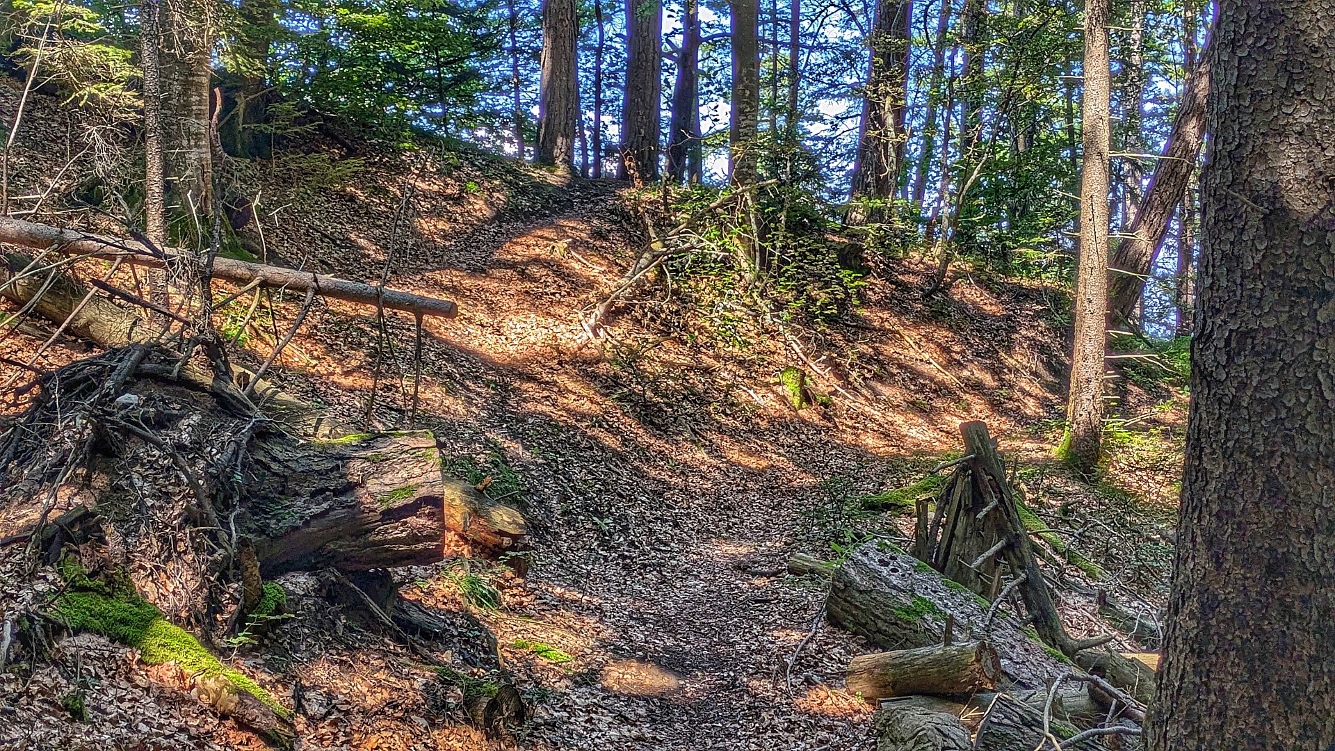 Démarre à gauche par une petite montée 