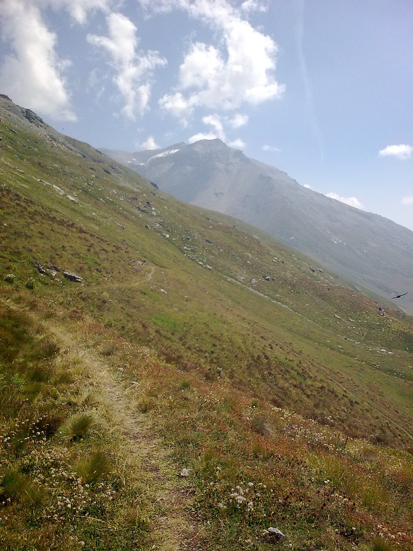 Sentier dans le milieu de la face