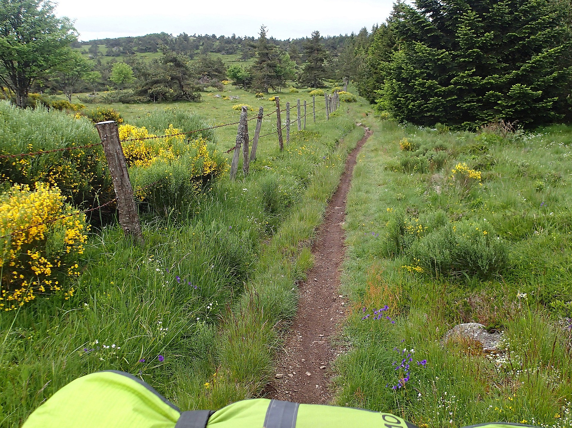 Sentier très vert !