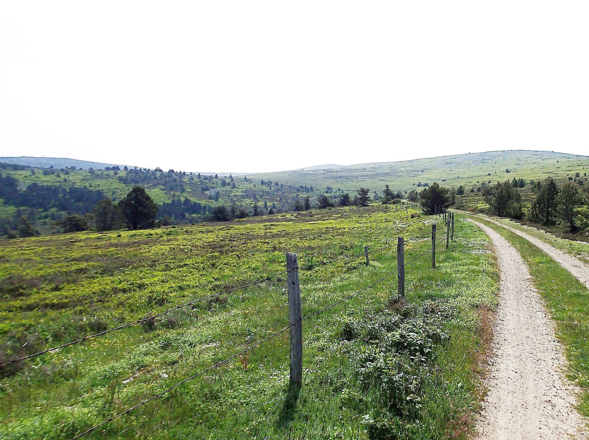 Au loin le Mont Lozère...