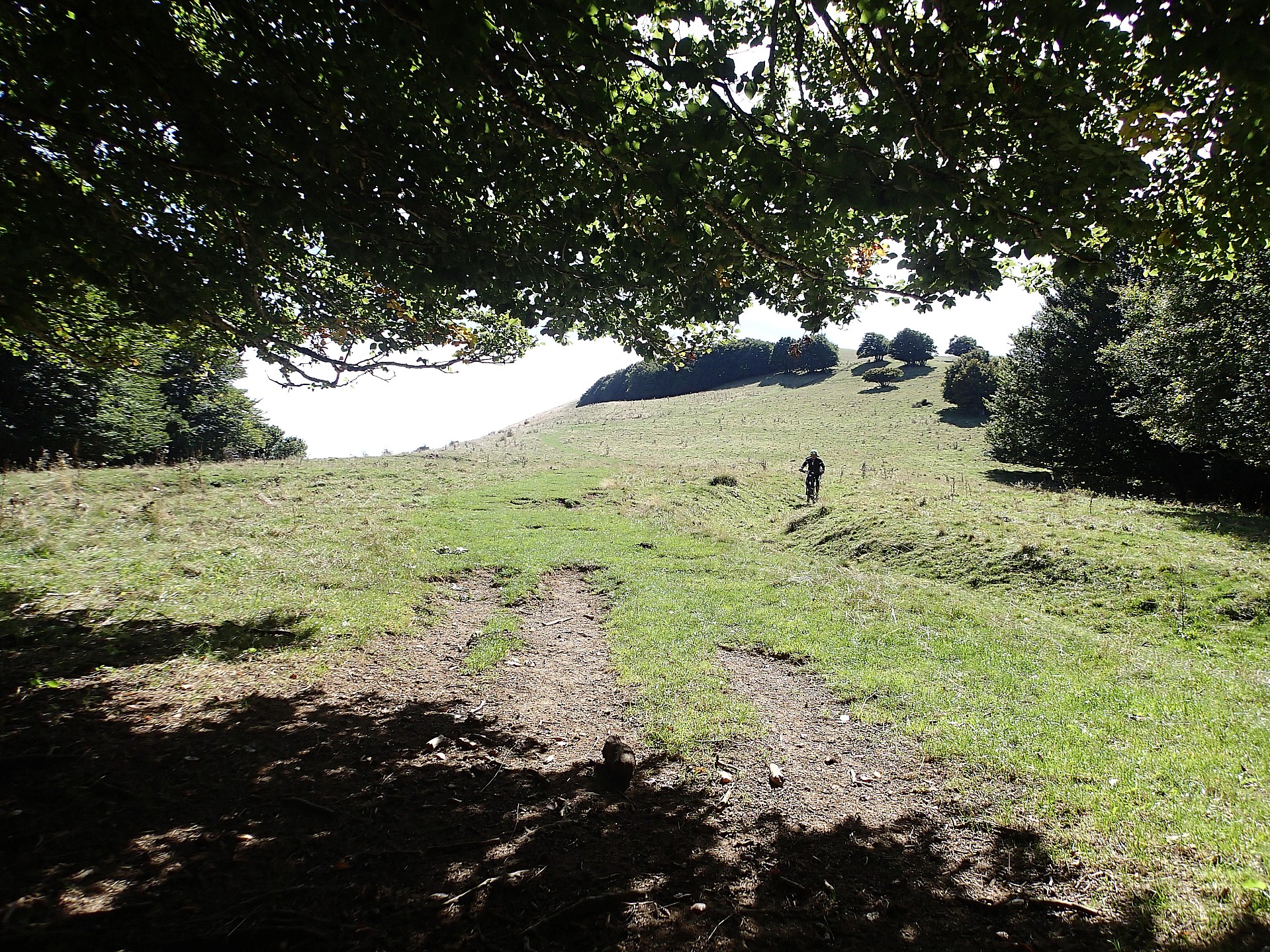 L'entrée en forêt après une grosse descente d'alpage...
