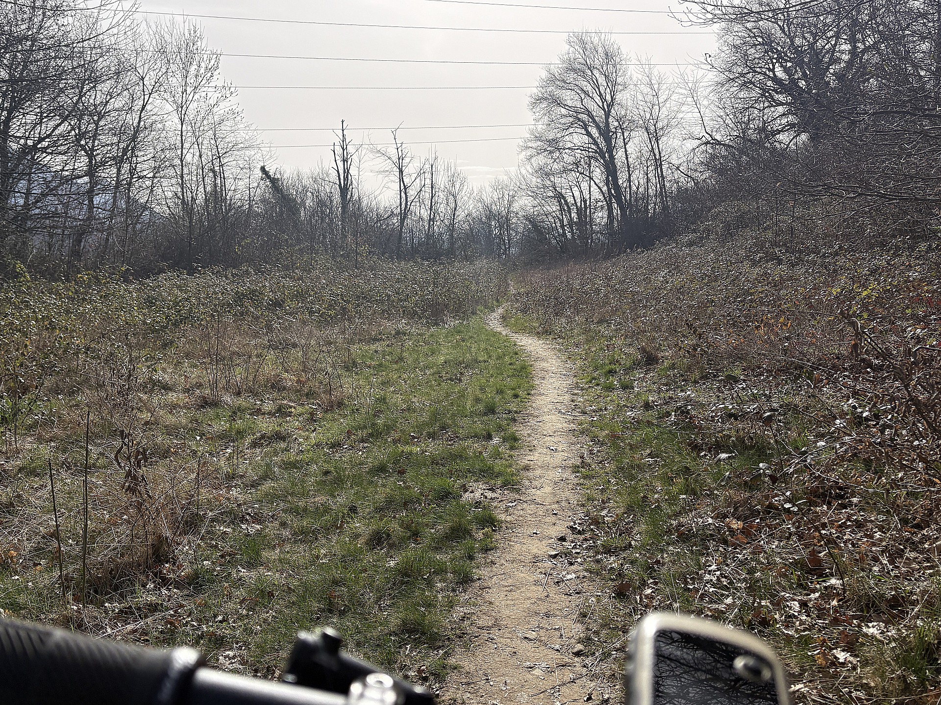 L'entrée dans la broussaille...