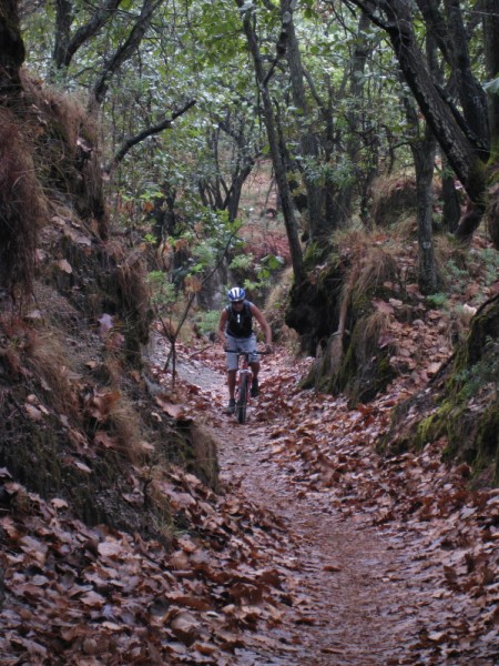 Canyon : Pas jolie mom Vtt?????
Yes,la classe!Old School for ever!