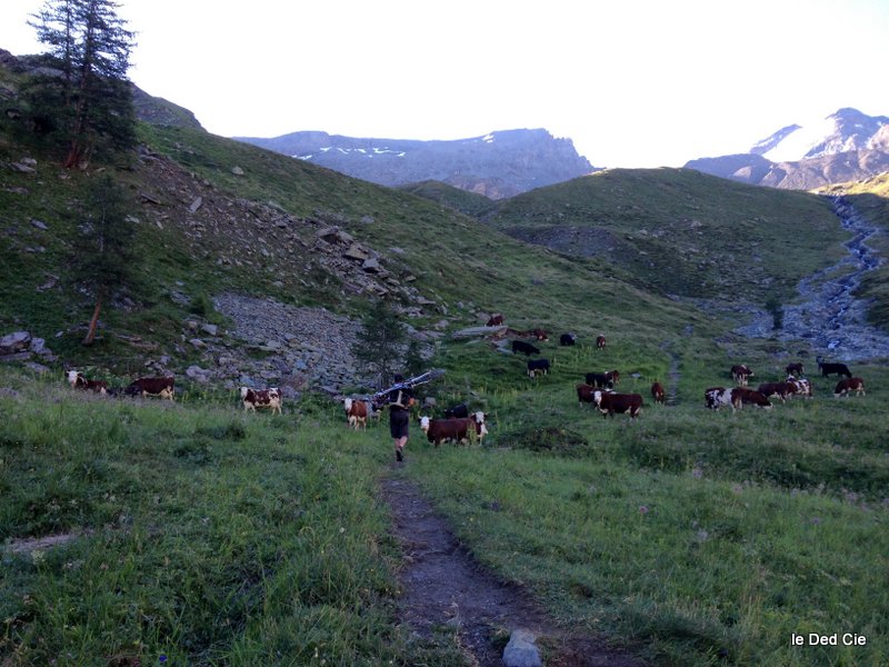 vallon d'Entrelor : Portage "vache"