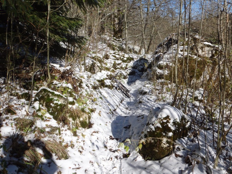 #10 Sentier Le Vuargne. : Toute la matinée, la température était négative. C Sentier Le Vuargne. : Toute la matinée, la température était négative. C'est bizarre, je n'ai pas eu froid. Il faut dire que sans le vent cela change tout.