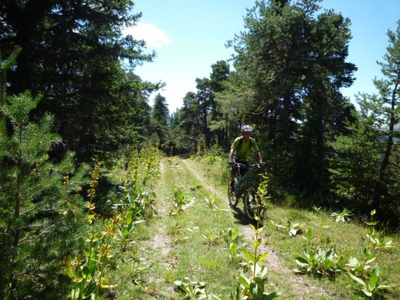 La Peyronnière : petite piste sur le plateau