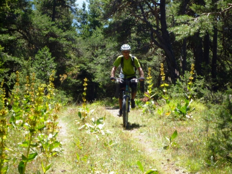 La Peyronnière : petite piste sur le plateau