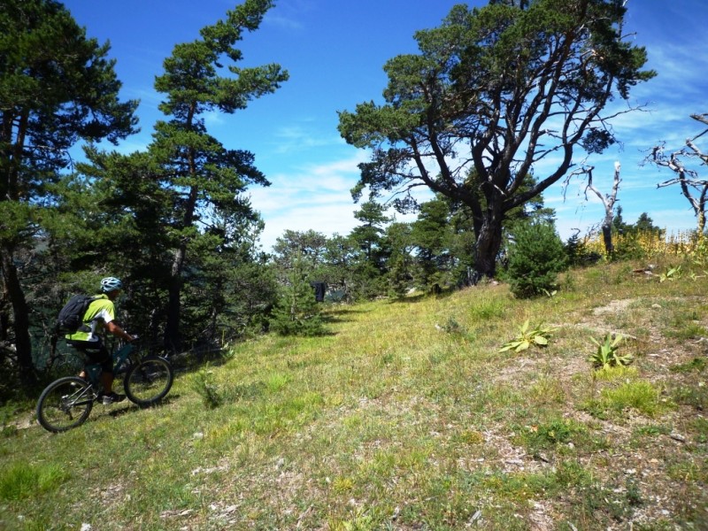 La Peyronnière : presque au point haut