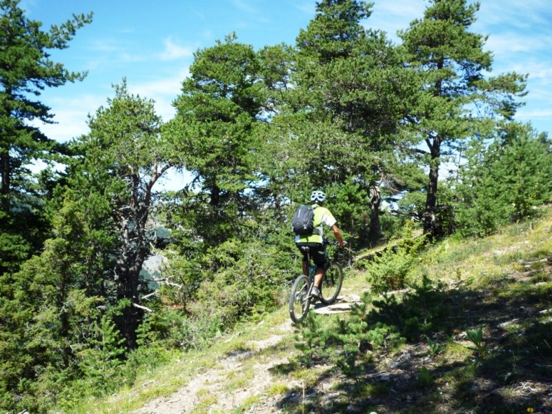 La Peyronnière : un dernier petit bout de sentier avant le sommet et le casse-croûte panoramique