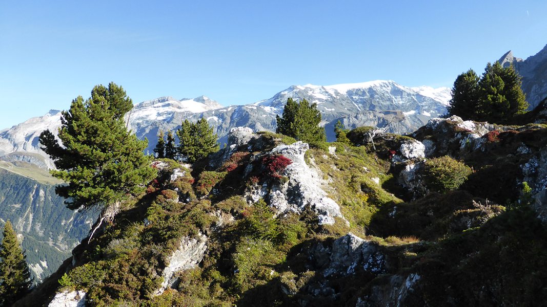Crête du Mont Charvet : Juste beau ...