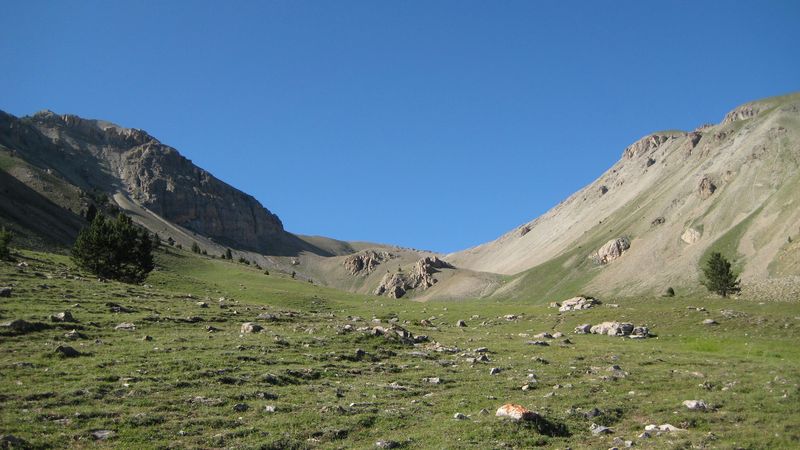 Collet du Peyron : Prairie de marmottes