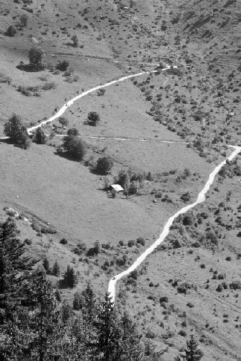 #5 sous le col de l sous le col de l'Aulp : la piste d'accès pour le départ de la Tournette