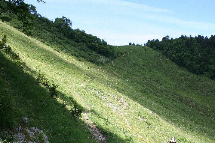 #14 col des Frêtes : courte remontée pour le col des Frêtes. Ensuite le chemin part à droite sur l col des Frêtes : courte remontée pour le col des Frêtes. Ensuite le chemin part à droite sur l'arrête pour aller buter sous la pointe sud des dents de Lanfon