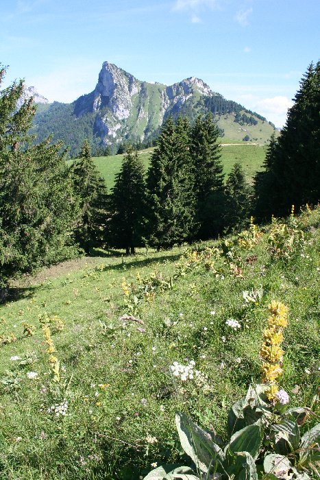 #8 col de l col de l'Aulp : du col on voit la suite de l'itinéraire qui passe entre les deux sommets au fond = Pas de l'Aulp