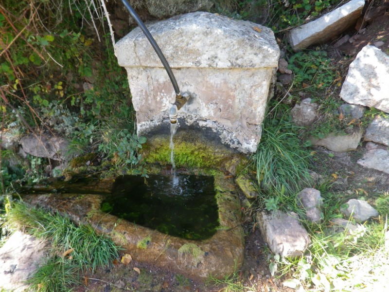 basse mihubi : Avec sa fontaine salvatrice pour mon Kamel vide...