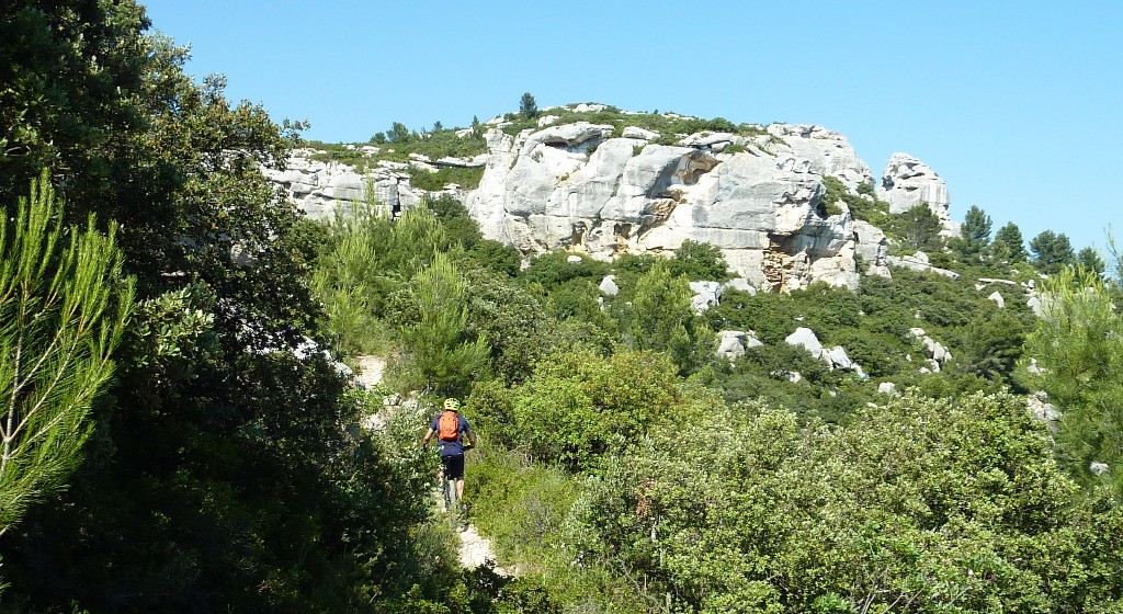 paysage typique des Baux de Provence