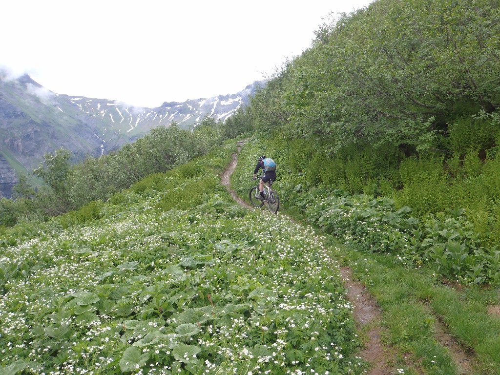 Grimpée du Petit Col d'Anterne : Apres les pylônes, une bonne partie sur le vtt !