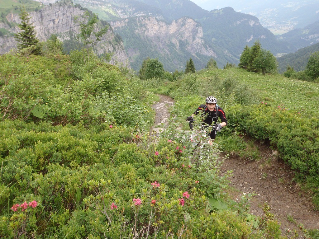 Grimpée du Petit Col d'Anterne : Je suis content, on dirait qu'il serre les dents.