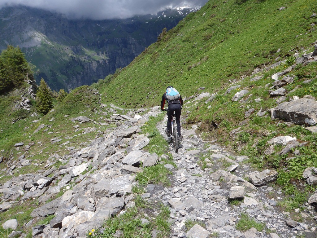 Descente du Petit Col d'Anterne : Le sentier est bien entretenu.