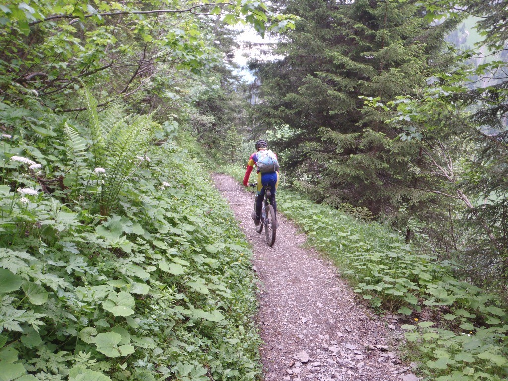 Descente du Petit Col d'Anterne : Sortie que nous avons trouvée formidable, pour moi une des plus belle du secteur.  