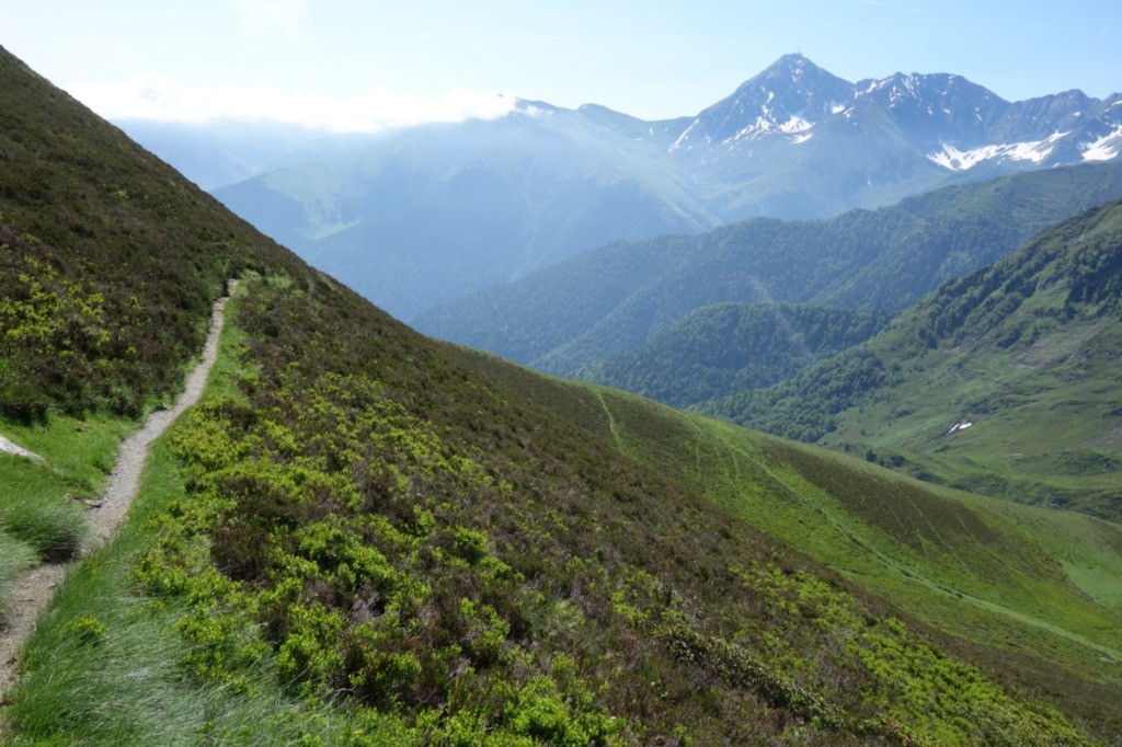 #6 Sous la Peyre Sous la Peyre