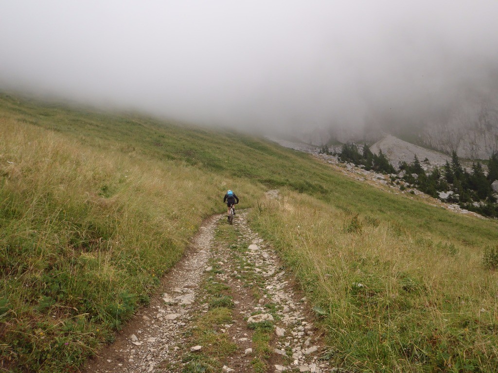 Le sentier - Col de la Forclaz > Chalets de Mayse : Une bonne piste mais la pente est raide.