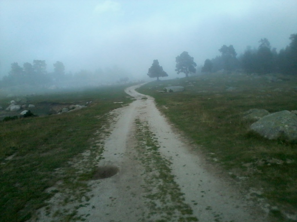 Jasse de Bernardi, retour dans le brouillard.