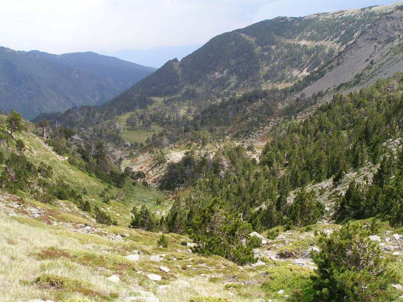 Vallon de la Muntanyeta : La descente, c'est par là !
