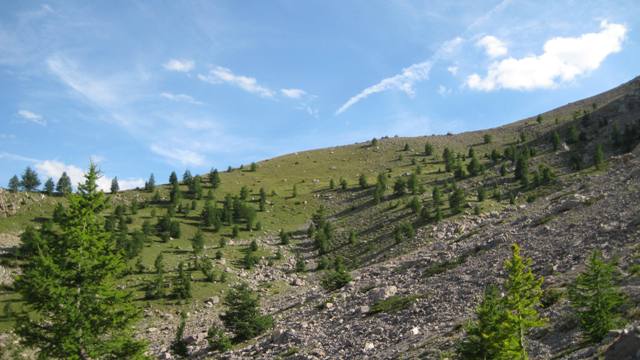Prairie : Sous le plateau de la Croix.