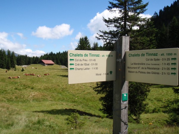 Chalet de Tinnaz : Direction col du Spée(cialized) trop facile....