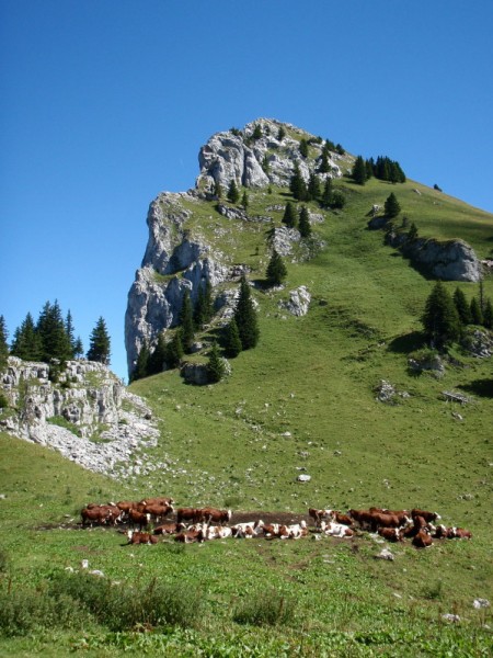 col du cable : Arrivée au col du cable (à gauche) et Roche parnal