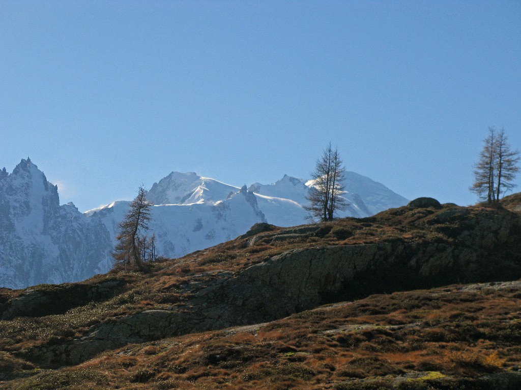 Aiguille du Plan et du Midi - Mont Blanc du tacul, Mont Maudit, Mont Blanc