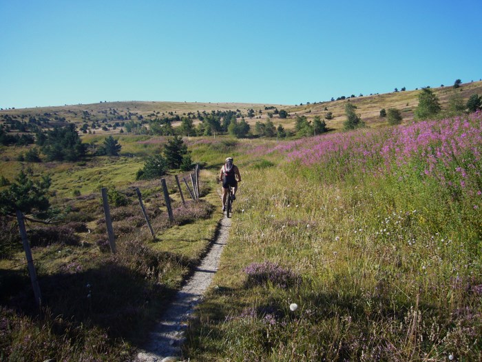 #2 Départ sur le GR 7 : Enfin on a trouvé un sentier. Départ sur le GR 7 : Enfin on a trouvé un sentier.