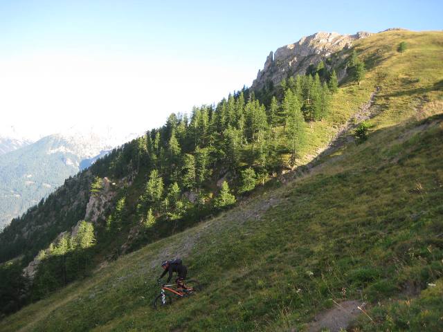 Freeride : Au sens propre du terme...