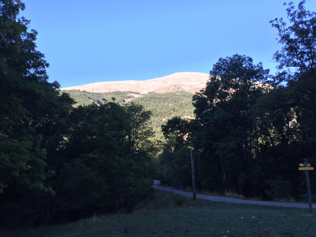 #1 frisquet ce matin frisquet ce matin