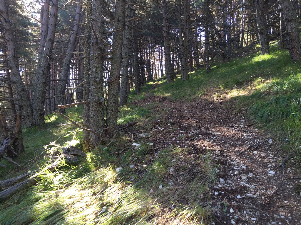#5 Montée dans le Defens Montée dans le Defens