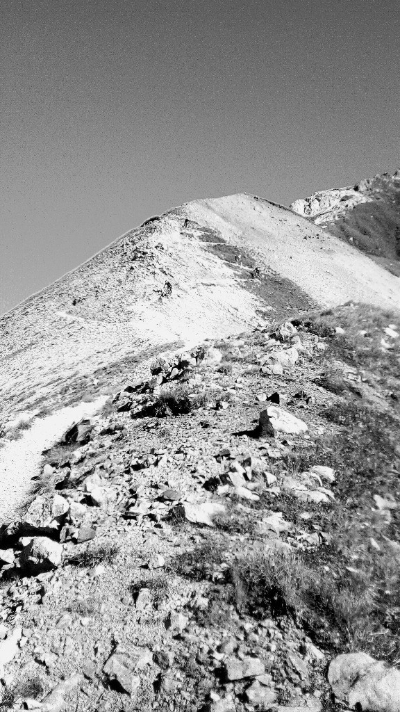 descente du petit Mont-Blanc