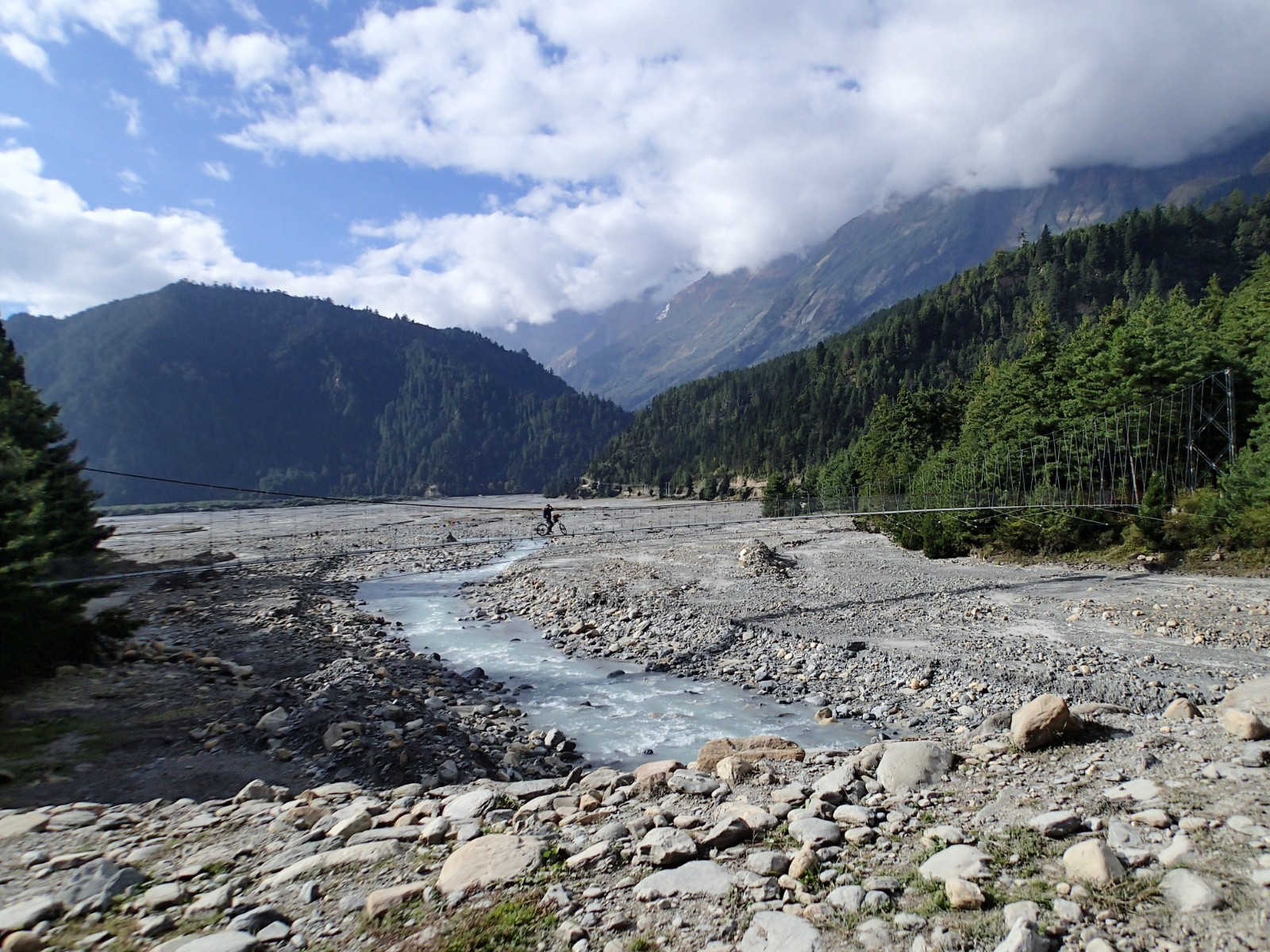 Belle passerelle devant une végétation plus ... européenne...