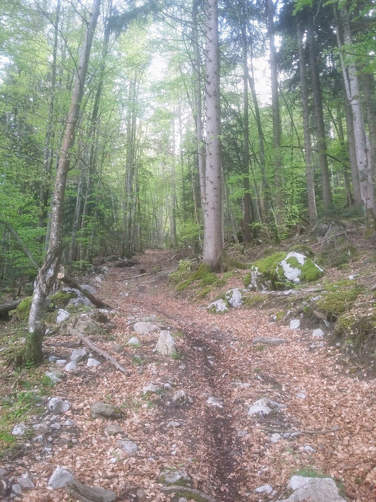 La portion piste (GR96), inintéressante à descendre