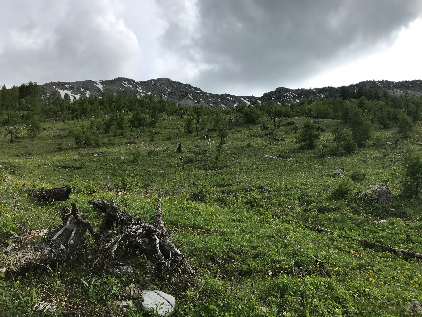 #9 Traversée de la zonnes ravagées par les avalanches descendantes de Noncière Traversée de la zonnes ravagées par les avalanches descendantes de Noncière