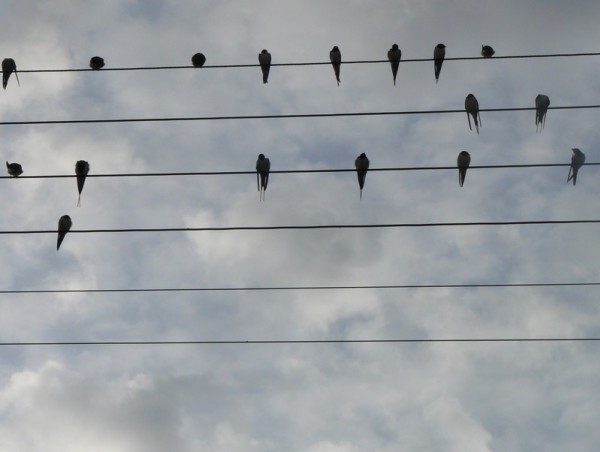 Musique : Partition musicale des Monts de Gy