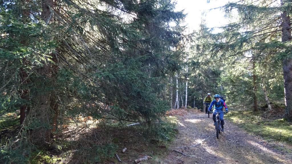 #4 Jolie piste de 1ère montée Jolie piste de 1ère montée