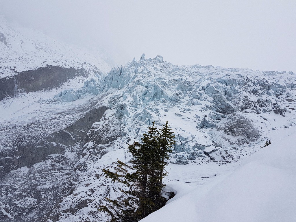 Point de vue du Glacier d'Argentière.