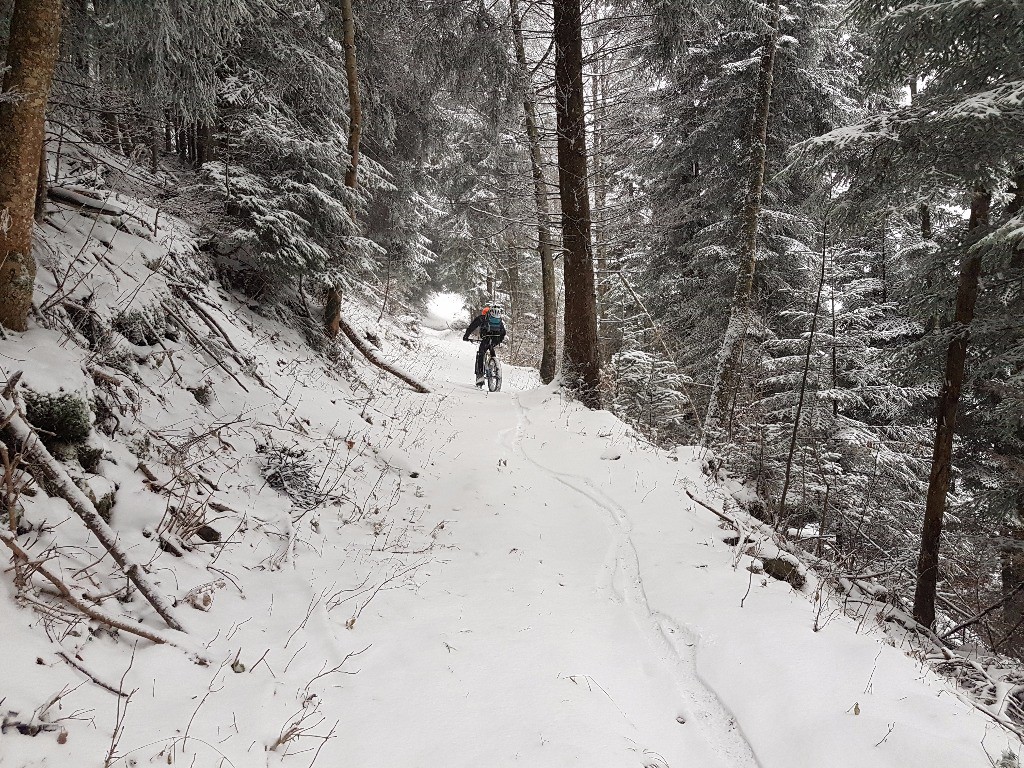 Le sentier : Cusson > Forêt des Ecules, malgré la neige il reste cyclable.