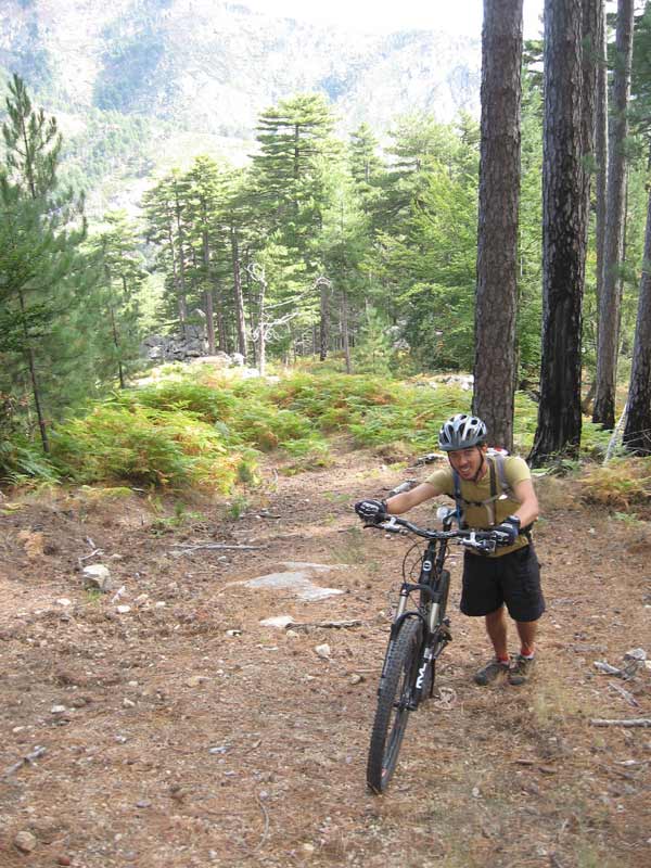 #1 Guillaume : Poussette pour rejoindre la piste d Guillaume : Poussette pour rejoindre la piste d'alzitone.