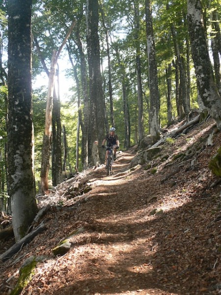 #13 Puis dans le roulant : Sous les bois Puis dans le roulant : Sous les bois