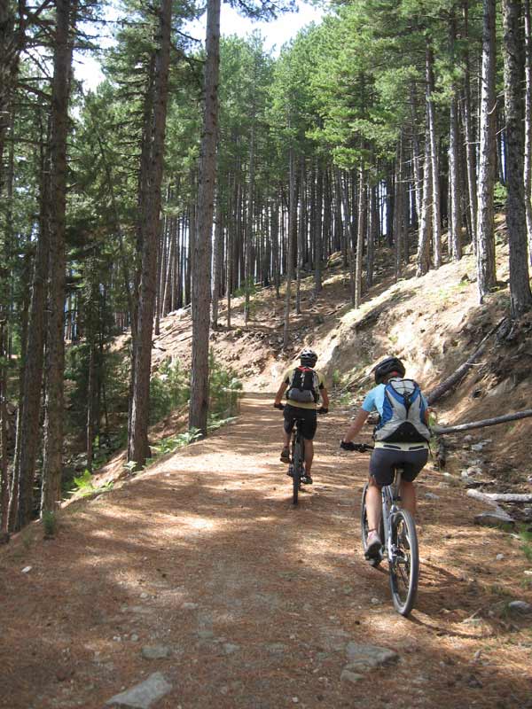 #2 piste pépère : Vers Alzitone. piste pépère : Vers Alzitone.